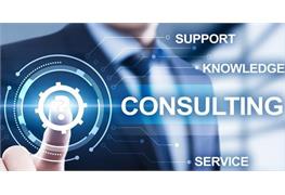 CONSULTING