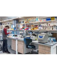 Petroleum Laboratory